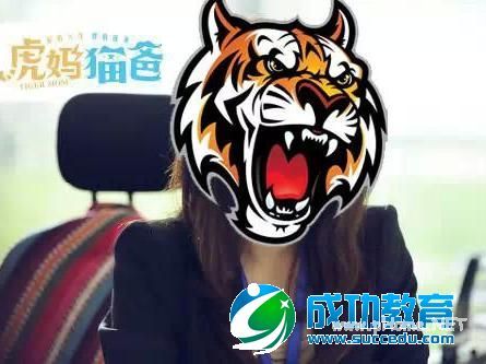 小升初择校，是当&#34;虎妈&#34;OR“猫爸”