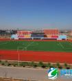 北师大成立校园足球发展研究中心
