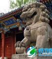 北大课题组在红河传授成功黄金定律