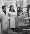 卓越计划：重在协同培养