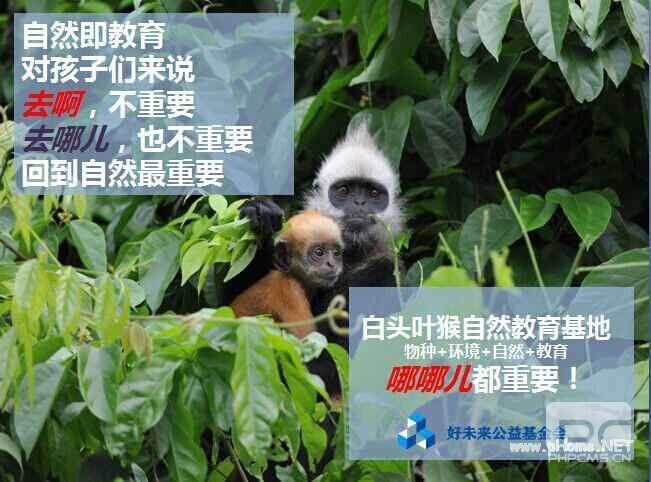 “去啊”海报大战，<a href=http://www.succedu.com target=_blank class=infotextkey>教育</a>机构是如何参与的？