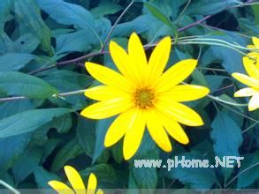 教师应寻求<a href=http://www.succedu.com target=_blank class=infotextkey>教育</a>的智慧 