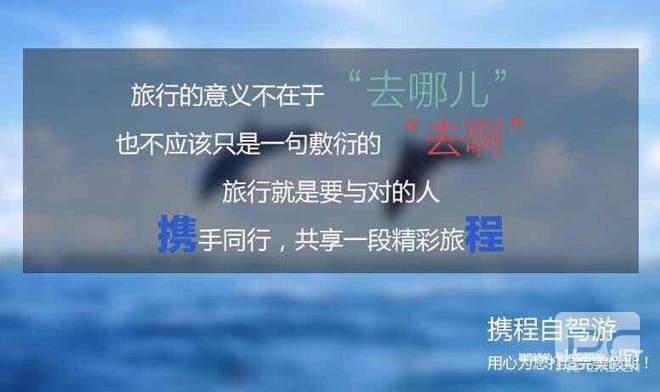“去啊”海报大战，<a href=http://www.succedu.com target=_blank class=infotextkey>教育</a>机构是如何参与的？