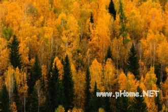 新课程背景下教师备课提倡树立五种意识 