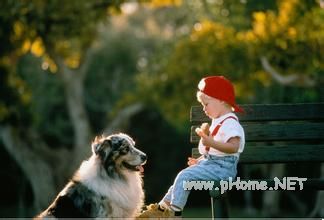 优质授课内容将决定在线<a href=http://www.succedu.com target=_blank class=infotextkey>教育</a>企业生死存亡