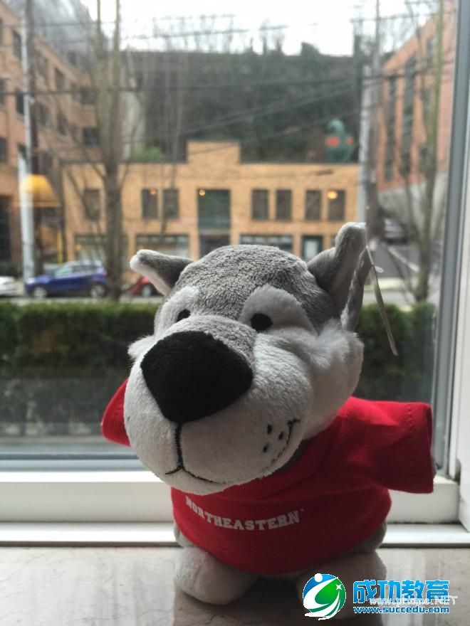 kaplan海外培训报告之东北大学的详解