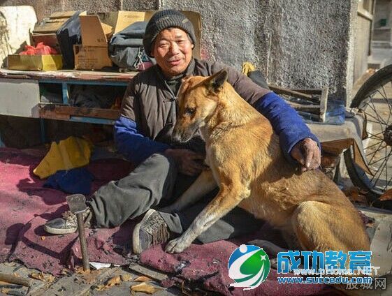 河南版忠犬很有爱悉心照顾残疾主人超感人画面让人热泪横流