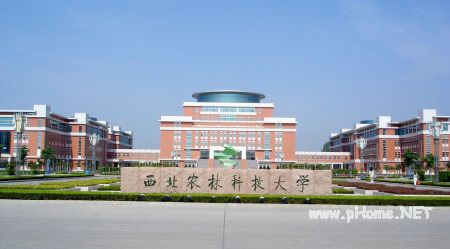 中国内地林学类专业10强大学排名（图）