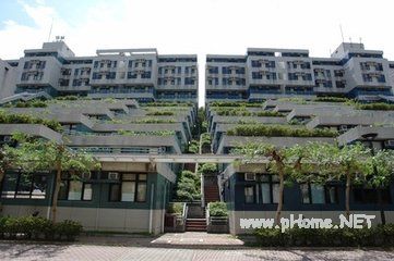 香港八所高校及其特色解析