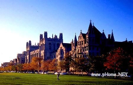 女学霸托福考近满分 被芝加哥大学提前录取