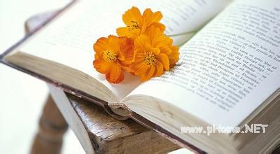 应用型本科教学中的多媒体技术课程探索