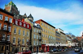 大洋彼岸的另一番天地——初到加拿大一个月的学习和生活