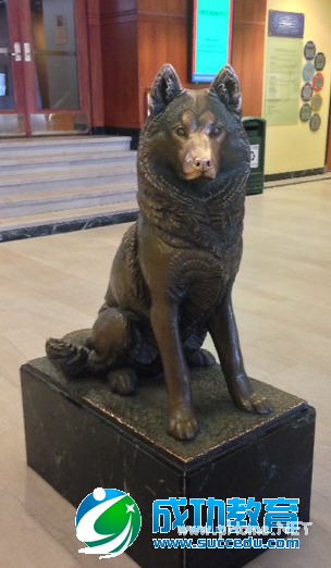 kaplan海外培训报告之东北大学的详解