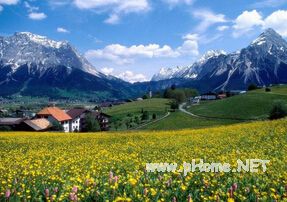 新西兰留学入读大学预科的原因