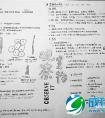 太有才初三学生的课堂创意笔记画着记