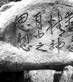 学者谈民国学术热：不是为比较与当今学术谁比谁强