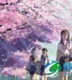 2015去日本留学一年需要多少费用？学费、生活费、住宿费