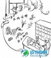 中医药教学改革亟待“扶正祛邪”