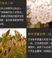 日本留学，不得不知道的事儿