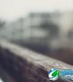 【高考英语学习技巧】快速阅读四大法则