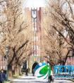 非211工科转商科获北海道大学经济学研究科硕士录取