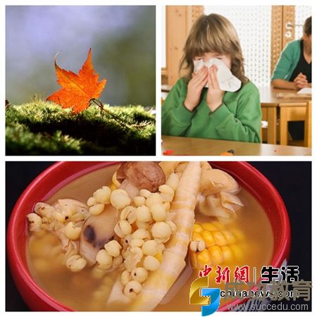 今日立秋多地“炎”值不减白领贴秋膘不如“甩肉”