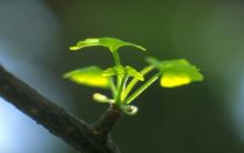 说说家长抱怨价格太贵背后可能存在的三层含义