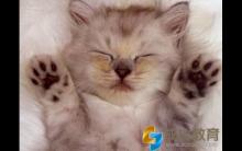 国庆特辑：睡懒觉有理？牛津教授说的！