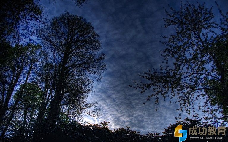 d6df90a49efdec833f60c94f7feccabe.jpg