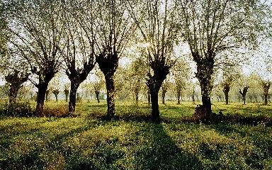 高清壁纸 (156).jpg