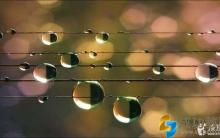 初二数学：学习成绩差的原因有哪些