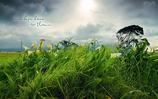 高清壁纸 (173).jpg