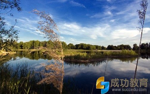 f7d5a95444af90a553c6e1342fbab4eb.jpg
