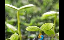 中考语文阅卷老师最讨厌的三类作文