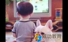 孩子经不经常看电视的差别居然这么大，家长注意了
