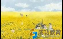 德国的教育静悄悄