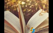 特级教师献招：可以在家里实践的语文专题学习法