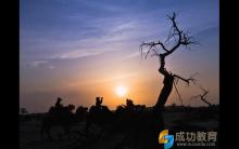 【转载】孩子，我也知道你很累，但别人都在飞…