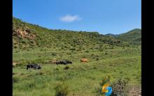 陪伴孩子时请把手机收起来