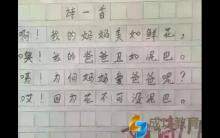 小学生写的语文作业，乐翻人了，怎么这么有才呢！