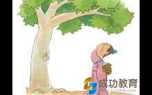 这样5个学习习惯让孩子的成绩不进反退