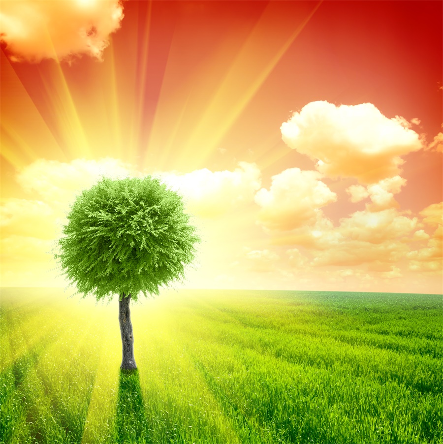 接地气儿!70岁老人发明自动爬楼智能车 2000个零部件全靠手工打造