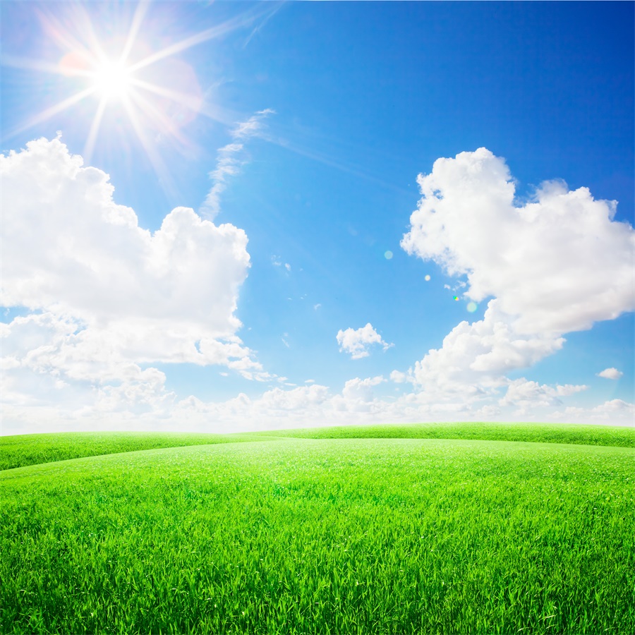 令人意外！堡狮龙创始人孙女在韩整形身亡 整容现场到底发生了什么？