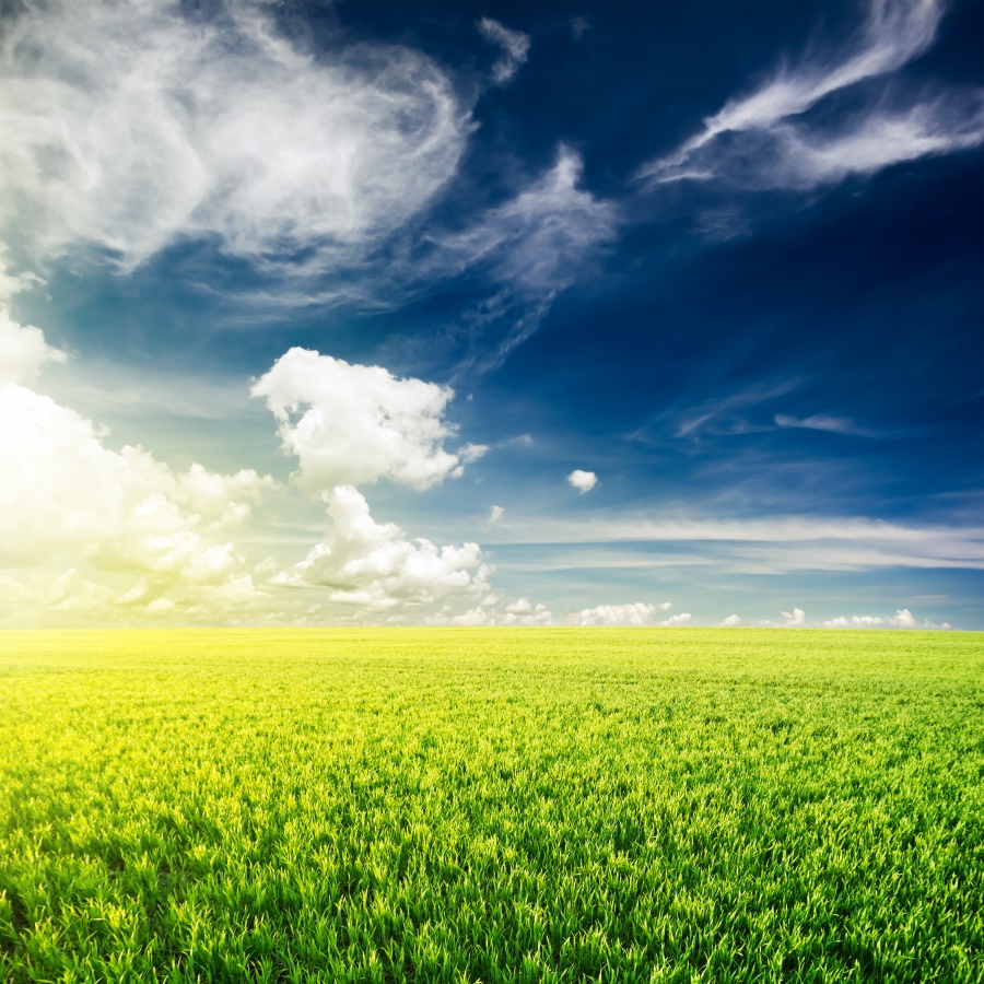 【心理辅导】如何缓解学习压力 培养自信人格心理建设