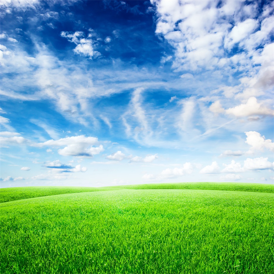 【心理辅导】高三学生心理问题答疑：要学会调整心态 树立信心心理建设