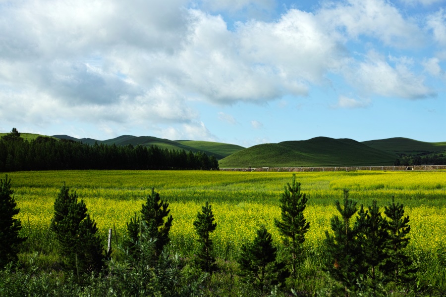 【心理辅导】心理专家：把焦虑的事列成清单心理建设