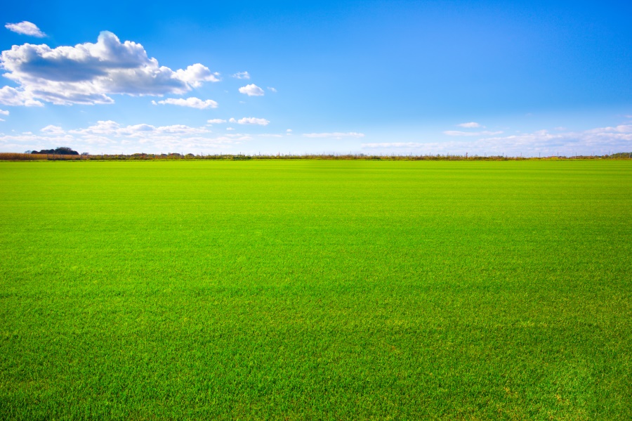 【心理辅导】专家指导：学生说谎十大心理分析及对策心理建设