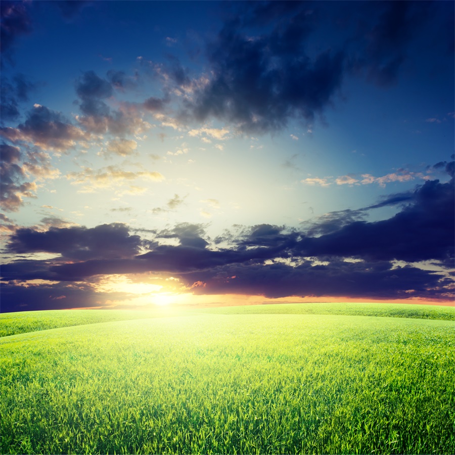 【心理辅导】“三座大山”重压下高职学生的心理剖析心理建设