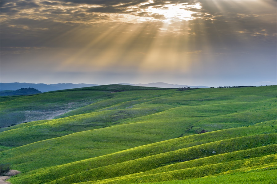 【心理辅导】临近考试变“懒”了 考生小心“心病”来袭心理建设