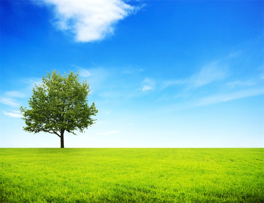 【心理辅导】高考励志语录：自我激励经典豪言99句心理建设